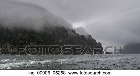 Stock Photo - Trees on an island, Skeena-Queen Charlotte Regional District, Haida Gwaii, Graham Island, British Columbia, Canada. Fotosearch
