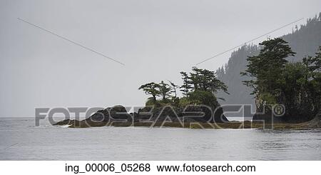 Trees on an island, Skeena-Queen Charlotte Regional District, Haida Gwaii, Graham Island, British Columbia, Canada View Large Photo Image Stock Photo - Trees on an island, Skeena-Queen Charlotte Regional District, Haida Gwaii, Graham Island, British Columbia, Canada. Fotosearch
