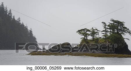 Trees on an island, Skeena-Queen Charlotte Regional District, Haida Gwaii, Graham Island, British Columbia, Canada View Large Photo Image Stock Photo - Trees on an island, Skeena-Queen Charlotte Regional District, Haida Gwaii, Graham Island, British Columbia, Canada. Fotosearch