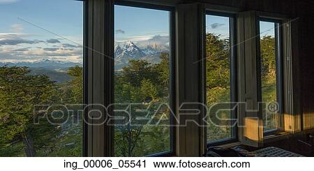 Stock Image - Trees viewed from Awasi Lodge, Patagonia, Chile. Fotosearch