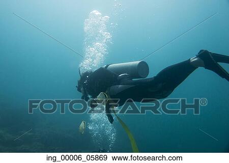 Underwater view of a scuba diver, Ixtapa, Guerrero, Mexico View Large Photo Image Stock Photo - Underwater view of a scuba diver, Ixtapa, Guerrero, Mexico. Fotosearch