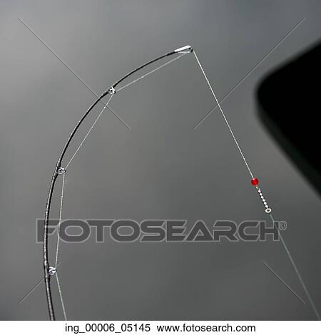 View of a bent fishing rod, Skeena-Queen Charlotte Regional District, Haida Gwaii, Graham Island, British Columbia, Canada View Large Photo Image Stock Photography - View of a bent fishing rod, Skeena-Queen Charlotte Regional District, Haida Gwaii, Graham Island, British Columbia, Canada. Fotosearch