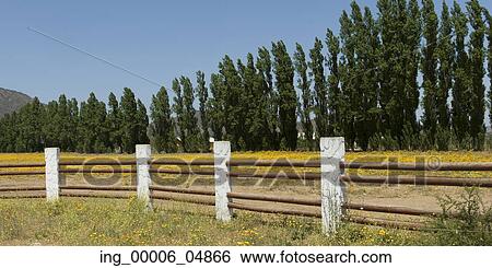 View of a fence on a farm in Casablanca Valley, Chile View Large Photo Image Stock Photograph - View of a fence on a farm in Casablanca Valley, Chile. Fotosearch