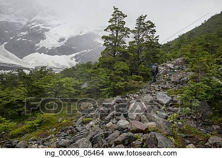 Picture - View of a valley, French Valley, Torres del Paine National Park, Patagonia, Chile. Fotosearch
