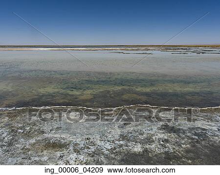 View of Cejar Lagoon, San Pedro de Atacama, El Loa Province, Antofagasta Region, Chile View Large Photo Image Stock Photo - View of Cejar Lagoon, San Pedro de Atacama, El Loa Province, Antofagasta Region, Chile. Fotosearch