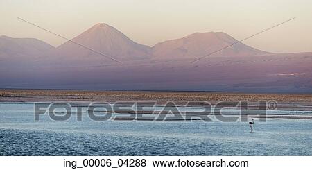 View of Chaxa Lagoon, Los Flamencos National Reserve, San Pedro de Atacama, El Loa Province, Antofagasta Region, Chile View Large Photo Image Stock Photo - View of Chaxa Lagoon, Los Flamencos National Reserve, San Pedro de Atacama, El Loa Province, Antofagasta Region, Chile. Fotosearch