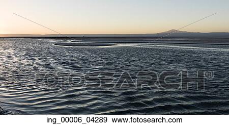View of Chaxa Lagoon, Los Flamencos National Reserve, San Pedro de Atacama, El Loa Province, Antofagasta Region, Chile View Large Photo Image Stock Photo - View of Chaxa Lagoon, Los Flamencos National Reserve, San Pedro de Atacama, El Loa Province, Antofagasta Region, Chile. Fotosearch