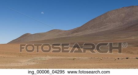 Stock Photography - View of desert landscape, Salar de Atacama, San Pedro de Atacama, El Loa Province, Antofagasta Region, Chile. Fotosearch