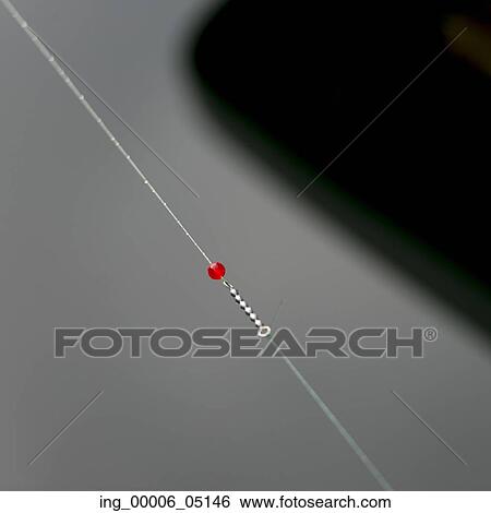 View of fishing line, Skeena-Queen Charlotte Regional District, Haida Gwaii, Graham Island, British Columbia, Canada View Large Photo Image Stock Photograph - View of fishing line, Skeena-Queen Charlotte Regional District, Haida Gwaii, Graham Island, British Columbia, Canada. Fotosearch