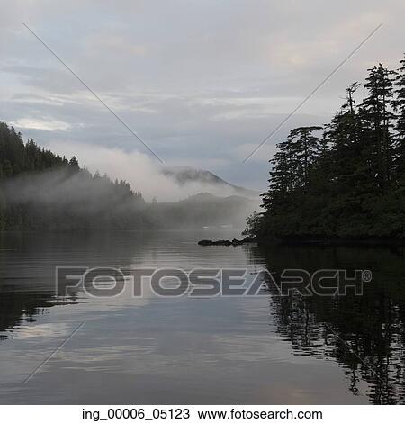 View of foggy coast, Skeena-Queen Charlotte Regional District, Haida Gwaii, Graham Island, British Columbia, Canada View Large Photo Image Stock Image - View of foggy coast, Skeena-Queen Charlotte Regional District, Haida Gwaii, Graham Island, British Columbia, Canada. Fotosearch