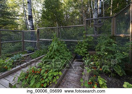Stock Photo - View of planters on a deck, Lake of the Woods, Ontario, Canada. Fotosearch