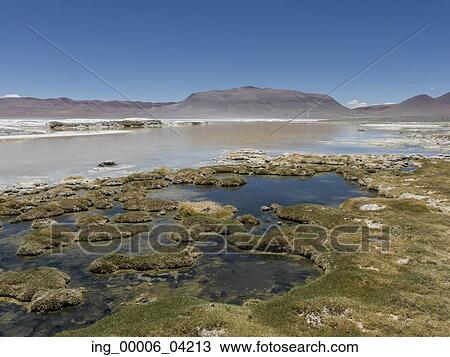 View of Salar de Atacama, San Pedro de Atacama, El Loa Province, Antofagasta Region, Chile View Large Photo Image Stock Image - View of Salar de Atacama, San Pedro de Atacama, El Loa Province, Antofagasta Region, Chile. Fotosearch