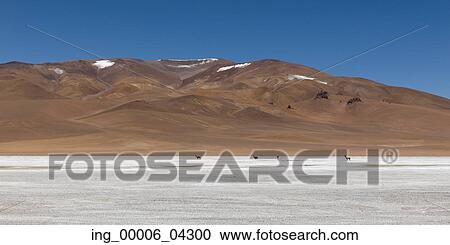 Stock Image - View of Salar de Pujsa, Salar de Atacama, San Pedro de Atacama, El Loa Province, Antofagasta Region, Chile. Fotosearch