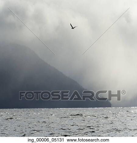 View of seascape, Skeena-Queen Charlotte Regional District, Hippa Island, Haida Gwaii, Graham Island, British Columbia, Canada View Large Photo Image Stock Image - View of seascape, Skeena-Queen Charlotte Regional District, Hippa Island, Haida Gwaii, Graham Island, British Columbia, Canada. Fotosearch