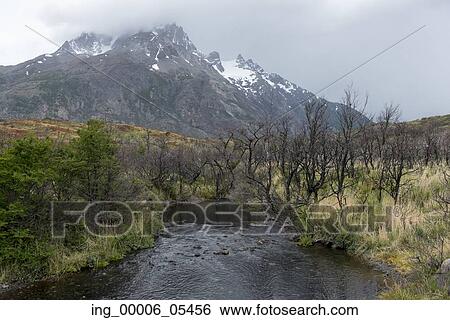 Stock Photograph - View of stream with mountains in the background, Torres del Paine National Park, Patagonia, Chile. Fotosearch