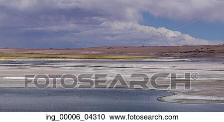 View of Tara Salt Flat, Los Flamencos National Reserve, San Pedro de Atacama, El Loa Province, Antofagasta Region, Chile View Large Photo Image Stock Image - View of Tara Salt Flat, Los Flamencos National Reserve, San Pedro de Atacama, El Loa Province, Antofagasta Region, Chile. Fotosearch