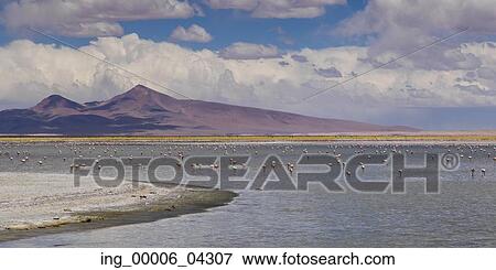 Stock Photo - View of Tara Salt Flat, Los Flamencos National Reserve, San Pedro de Atacama, El Loa Province, Antofagasta Region, Chile. Fotosearch