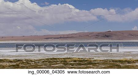 View of Tara Salt Flat, Los Flamencos National Reserve, San Pedro de Atacama, El Loa Province, Antofagasta Region, Chile View Large Photo Image Stock Photography - View of Tara Salt Flat, Los Flamencos National Reserve, San Pedro de Atacama, El Loa Province, Antofagasta Region, Chile. Fotosearch
