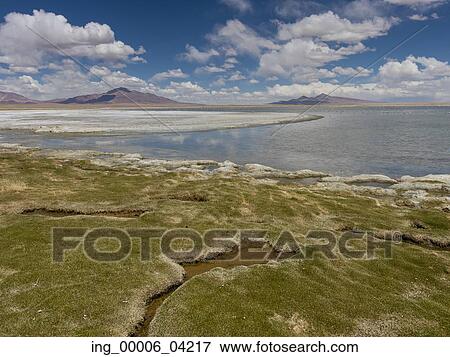 View of the Tara Salt Flat, Salar de Atacama, San Pedro de Atacama, El Loa Province, Antofagasta Region, Chile View Large Photo Image Stock Photo - View of the Tara Salt Flat, Salar de Atacama, San Pedro de Atacama, El Loa Province, Antofagasta Region, Chile. Fotosearch