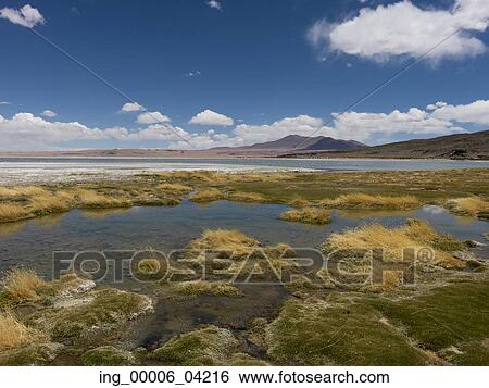 View of the Tara Salt Flat, Salar de Atacama, San Pedro de Atacama, El Loa Province, Antofagasta Region, Chile View Large Photo Image Stock Photograph - View of the Tara Salt Flat, Salar de Atacama, San Pedro de Atacama, El Loa Province, Antofagasta Region, Chile. Fotosearch