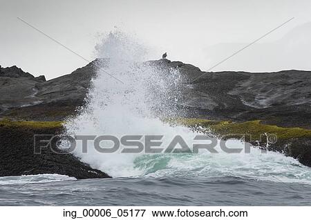 Waves breaking on the coast, Skeena-Queen Charlotte Regional District, Haida Gwaii, Graham Island, British Columbia, Canada View Large Photo Image Stock Photo - Waves breaking on the coast, Skeena-Queen Charlotte Regional District, Haida Gwaii, Graham Island, British Columbia, Canada. Fotosearch
