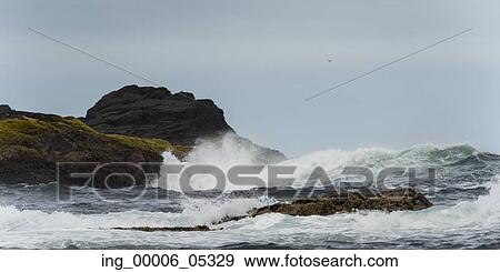 Waves breaking on the coast, Skeena-Queen Charlotte Regional District, Haida Gwaii, Graham Island, British Columbia, Canada View Large Photo Image Stock Photo - Waves breaking on the coast, Skeena-Queen Charlotte Regional District, Haida Gwaii, Graham Island, British Columbia, Canada. Fotosearch