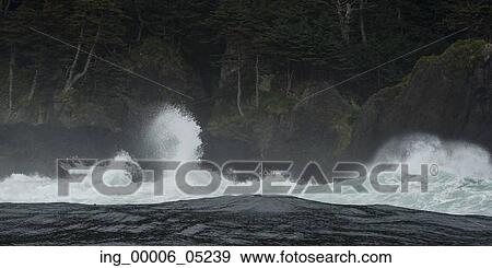 Waves in the Pacific Ocean, Skeena-Queen Charlotte Regional District, Haida Gwaii, Graham Island, British Columbia, Canada View Large Photo Image Stock Photo - Waves in the Pacific Ocean, Skeena-Queen Charlotte Regional District, Haida Gwaii, Graham Island, British Columbia, Canada. Fotosearch