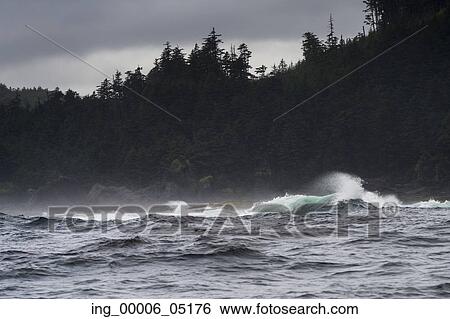 Waves in the Pacific Ocean, Skeena-Queen Charlotte Regional District, Haida Gwaii, Graham Island, British Columbia, Canada View Large Photo Image Stock Photograph - Waves in the Pacific Ocean, Skeena-Queen Charlotte Regional District, Haida Gwaii, Graham Island, British Columbia, Canada. Fotosearch