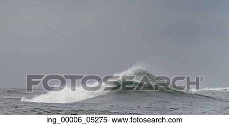 Stock Photography - Waves in the Pacific Ocean, Skeena-Queen Charlotte Regional District, Haida Gwaii, Graham Island, British Columbia, Canada. Fotosearch