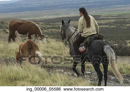 Woman riding a horse, Torres Del Paine National Park, Patagonia, Chile View Large Photo Image Stock Photograph - Woman riding a horse, Torres Del Paine National Park, Patagonia, Chile. Fotosearch