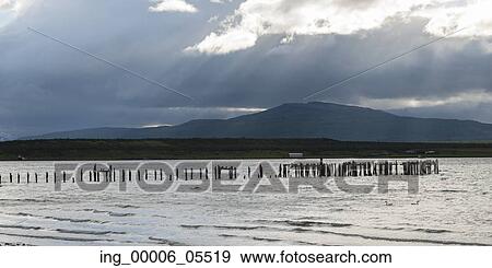 Wooden posts in the Pacific ocean, Puerto Natales, Patagonia, Chile View Large Photo Image Stock Photo - Wooden posts in the Pacific ocean, Puerto Natales, Patagonia, Chile. Fotosearch