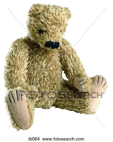 Picture - Photograph of a teddy bear. Fotosearch