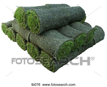 Photograph of stack of rolled lawn turf View Large Photo Image Stock Photograph - Photograph of stack of rolled lawn turf. Fotosearch