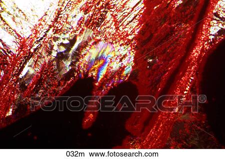 Photographic abstract background image View Large Photo Image Picture - Photographic abstract background image. Fotosearch