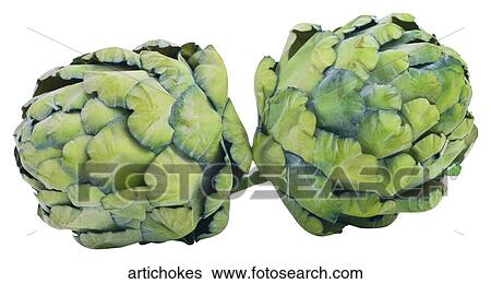 Artichokes View Large Photo Image Stock Photograph - Artichokes. Fotosearch