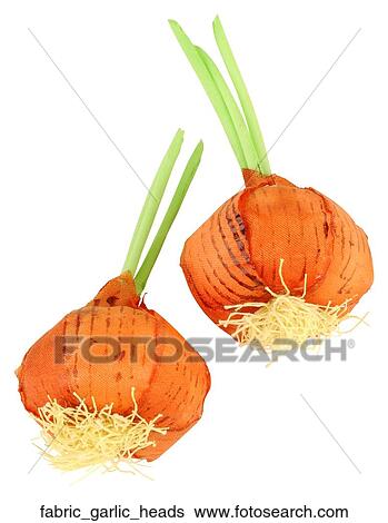 Fabric garlic heads View Large Photo Image Stock Photograph - Fabric garlic heads. Fotosearch