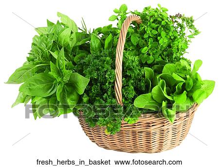 Fresh herbs in basket View Large Photo Image Stock Photograph - Fresh herbs in basket. Fotosearch