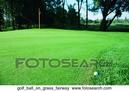Stock Photo - Golf ball on grass fairway. Fotosearch