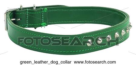 Stock Photography - Green leather dog collar. Fotosearch