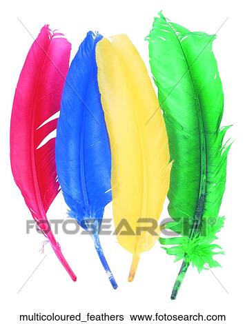 Multicoloured feathers View Large Photo Image Stock Photograph - Multicoloured feathers. Fotosearch