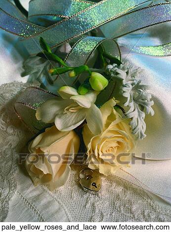 Pale yellow roses and lace View Large Photo Image Stock Image - Pale yellow roses and lace. Fotosearch