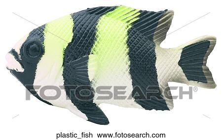 Plastic fish View Large Photo Image Stock Image - Plastic fish. Fotosearch