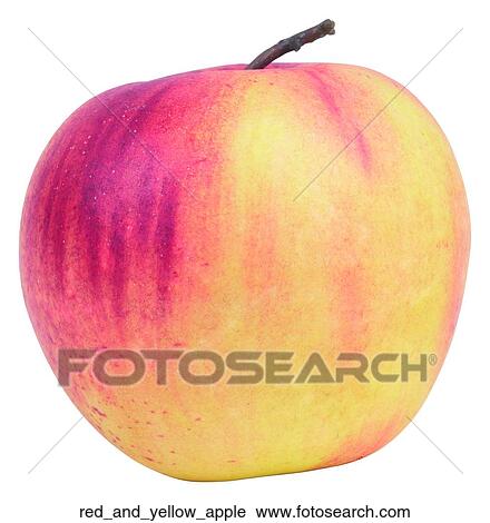 Red and yellow apple View Large Photo Image Stock Image - Red and yellow apple. Fotosearch