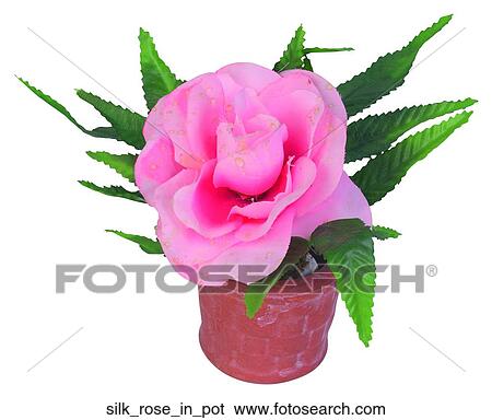 Stock Photograph - Silk rose in pot. Fotosearch