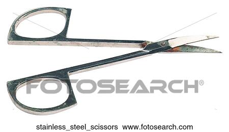 Stainless steel scissors View Large Photo Image Stock Photograph - Stainless steel scissors. Fotosearch