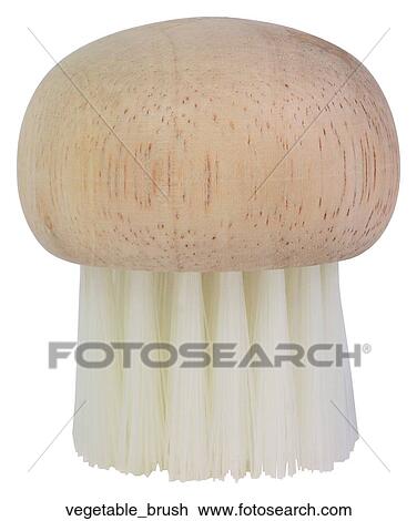 Vegetable brush View Large Photo Image Stock Image - Vegetable brush. Fotosearch