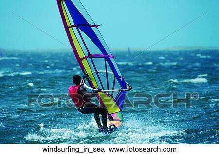 Windsurfing in sea View Large Photo Image Stock Image - Windsurfing in sea. Fotosearch