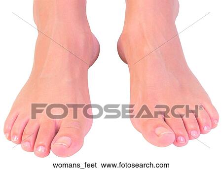 Stock Photograph - Womans feet. Fotosearch