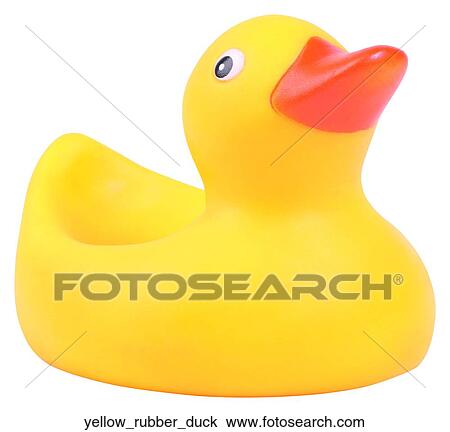Yellow rubber duck View Large Photo Image Stock Image - Yellow rubber duck. Fotosearch