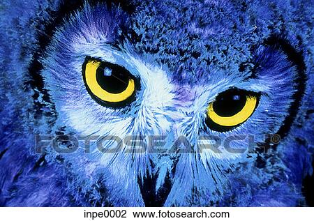 objects, people, occupations, animals View Large Photo Image Stock Image - objects, people, occupations, animals. Fotosearch
